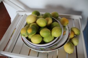 Citrons sicilens - Etna