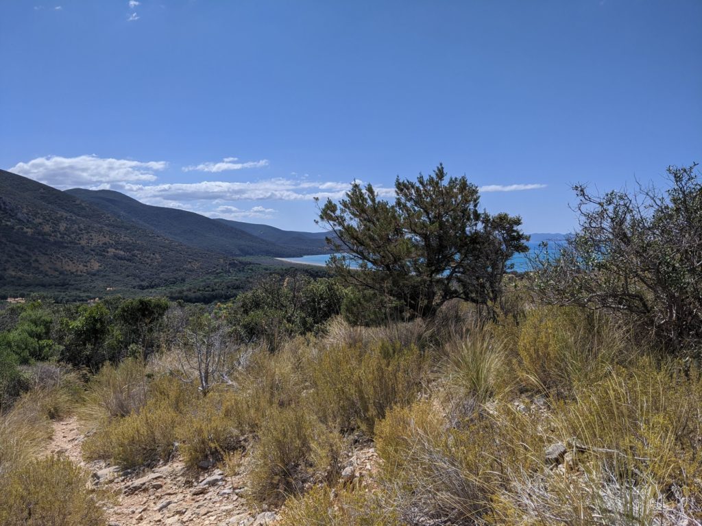 Le parc régional de la Maremme